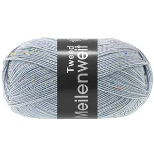 Lana Grossa MEILENWEIT 100g Tweed | 171-gris azul