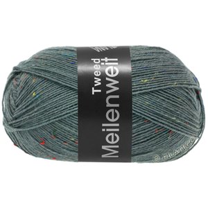 Lana Grossa MEILENWEIT 100g Tweed | 172-gris azulado