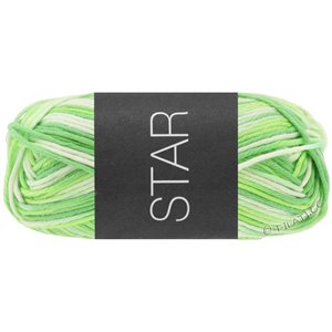 Lana Grossa STAR Print | 348-verde blanco/verde claro/jade